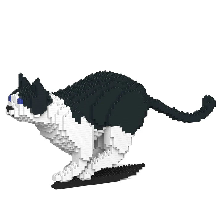 Black & White Cat 21S-M01