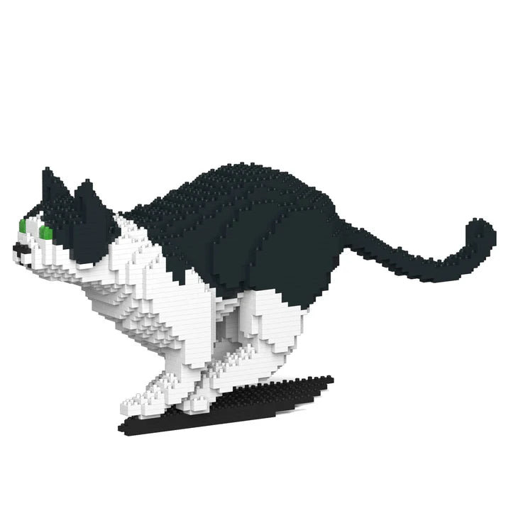 Black & White Cat 21S-M01