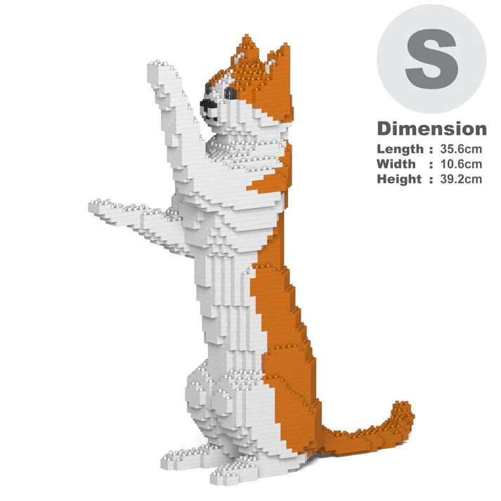 Gato naranja y blanco 22S-M01 