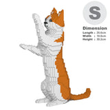 Orange & White Cat 22S-M01