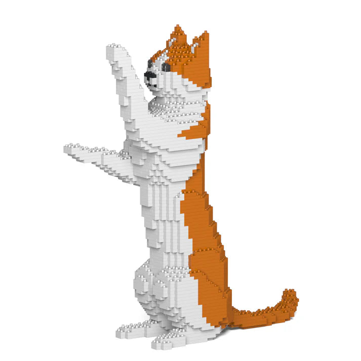 Orange & White Cat 22S-M01