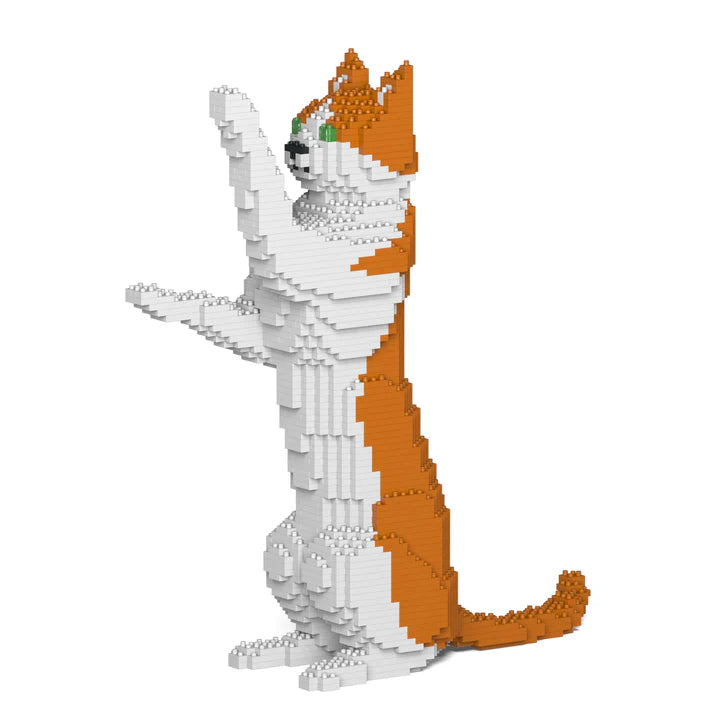 Gato naranja y blanco 22S-M01 