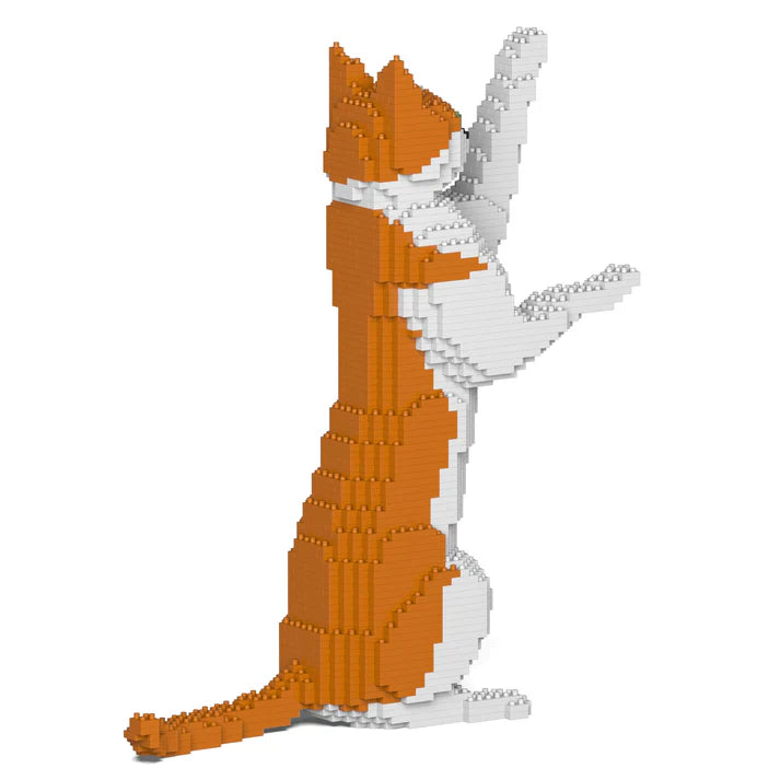 Orange & White Cat 22S-M01