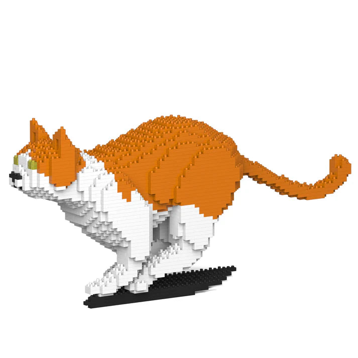 Gato naranja y blanco 23S-M01 