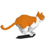 Gato naranja y blanco 23S-M01 