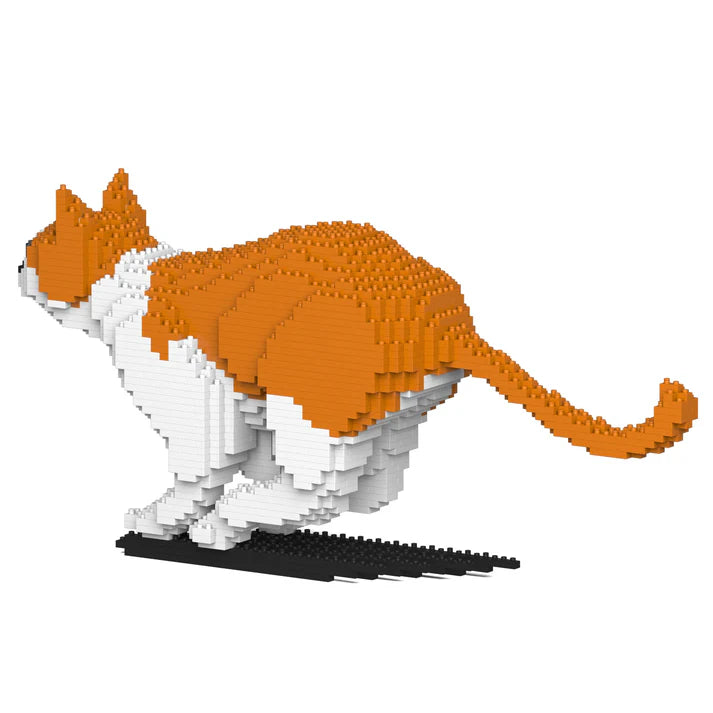 Orange-weiße Katze 23S-M01 