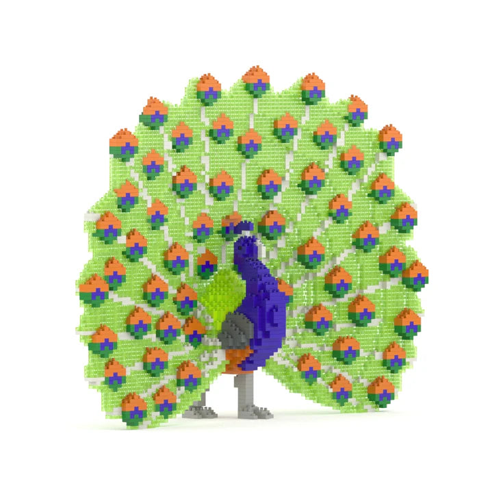 Peacock 01