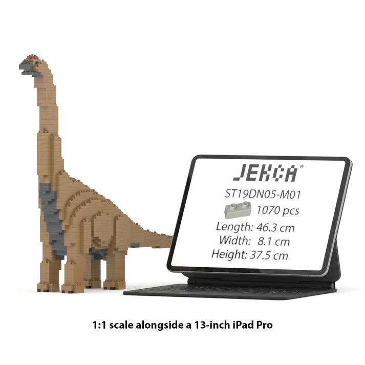 Brachiosaurus 01S-M01 