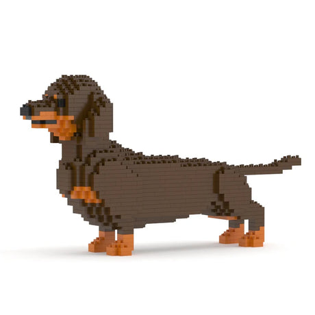 Dachshund 02-M02