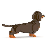 Dachshund 02-M02