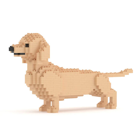 Dachshund 02-M03