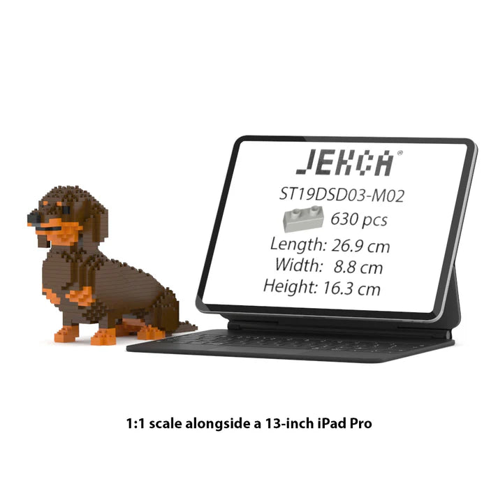 Dachshund 03-M02