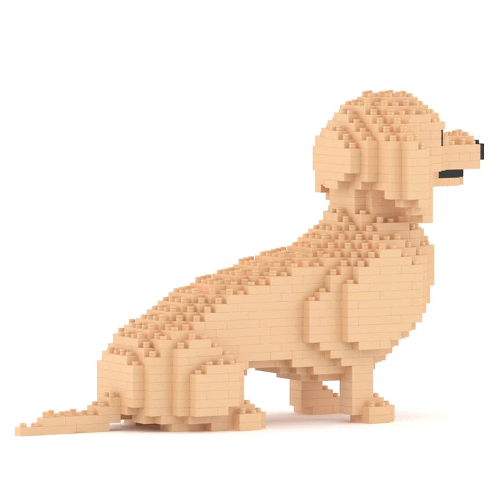 Dachshund 03-M03