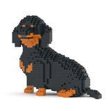 Dachshund 05-M01