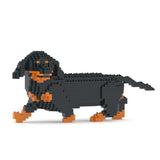 Dachshund 06-M01