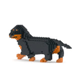 Dachshund 06-M01