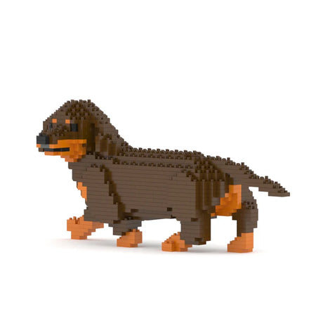 Dachshund 06-M02