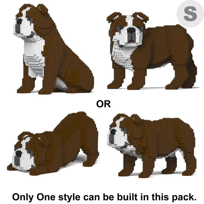 English Bulldog 4-in-1 Pack 01-M01