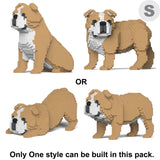 Englische Bulldogge 4-in-1 Paket 01-M03 