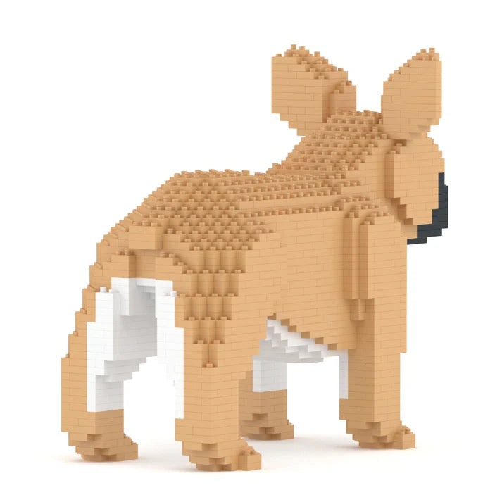 French Bulldog 02-M01