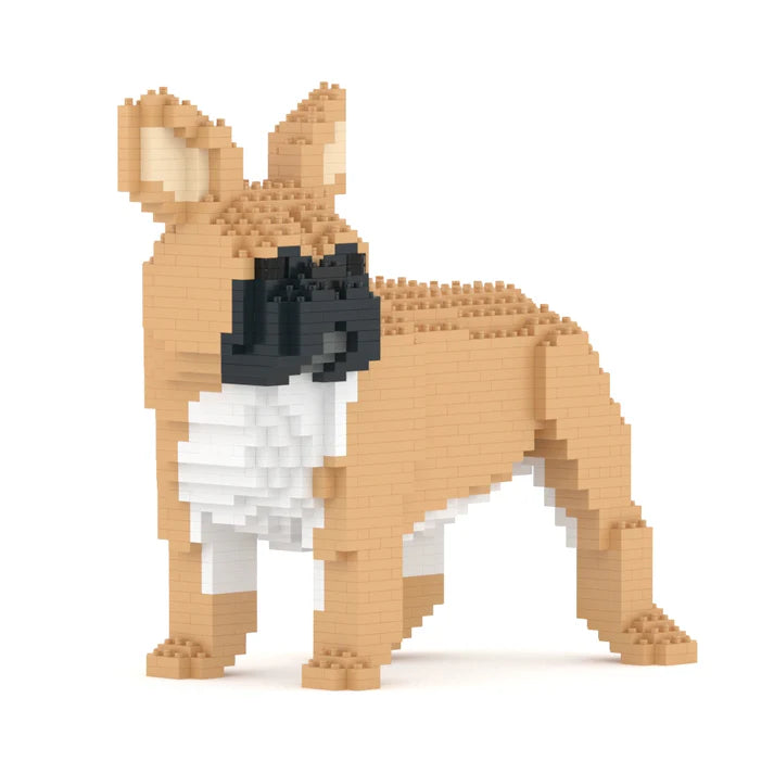 French Bulldog 03-M01