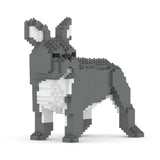 French Bulldog 03-M05