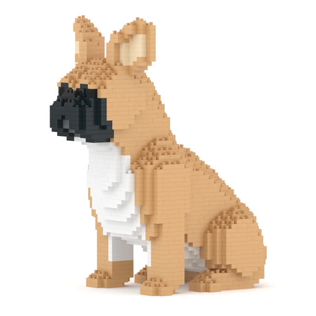 French Bulldog 04-M01