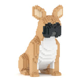 French Bulldog 04-M01