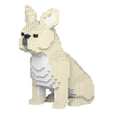 French Bulldog 04-M02