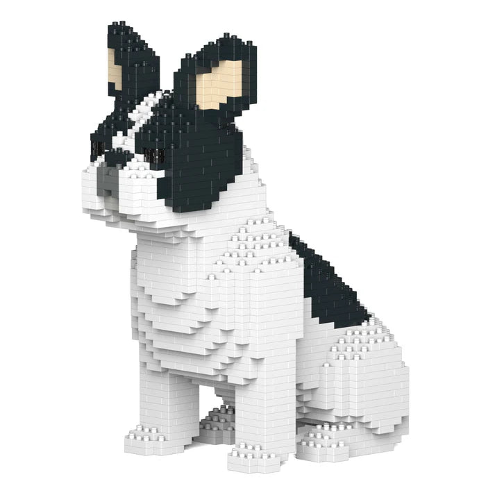 French Bulldog 04-M04