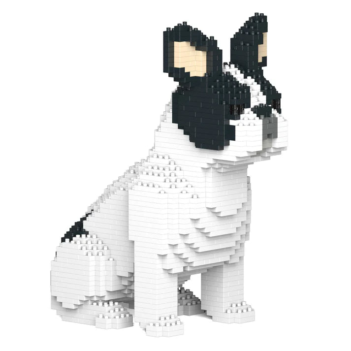 French Bulldog 04-M04