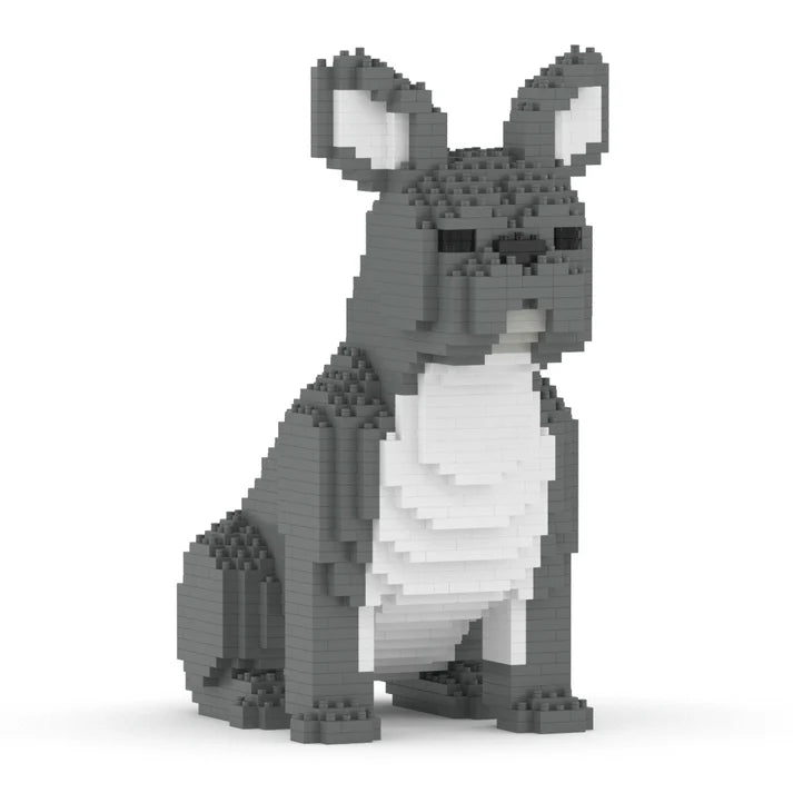 French Bulldog 04-M05