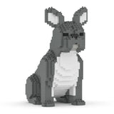 French Bulldog 04-M05