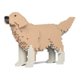 Golden Retriever 02-M01 