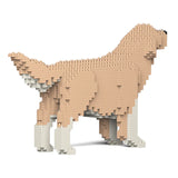 Golden Retriever 02-M01 