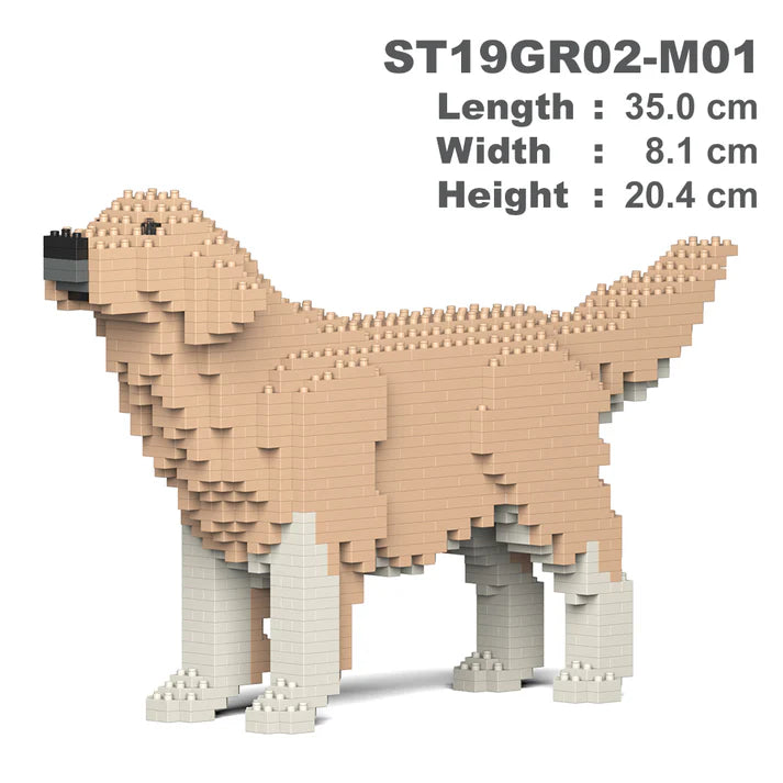 Golden Retriever 02-M01 