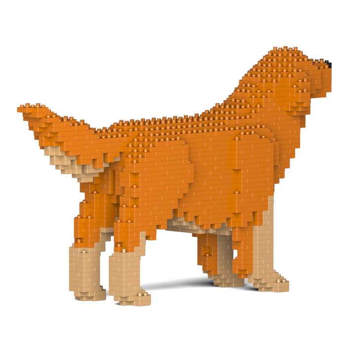 Golden Retriever 02-M02 