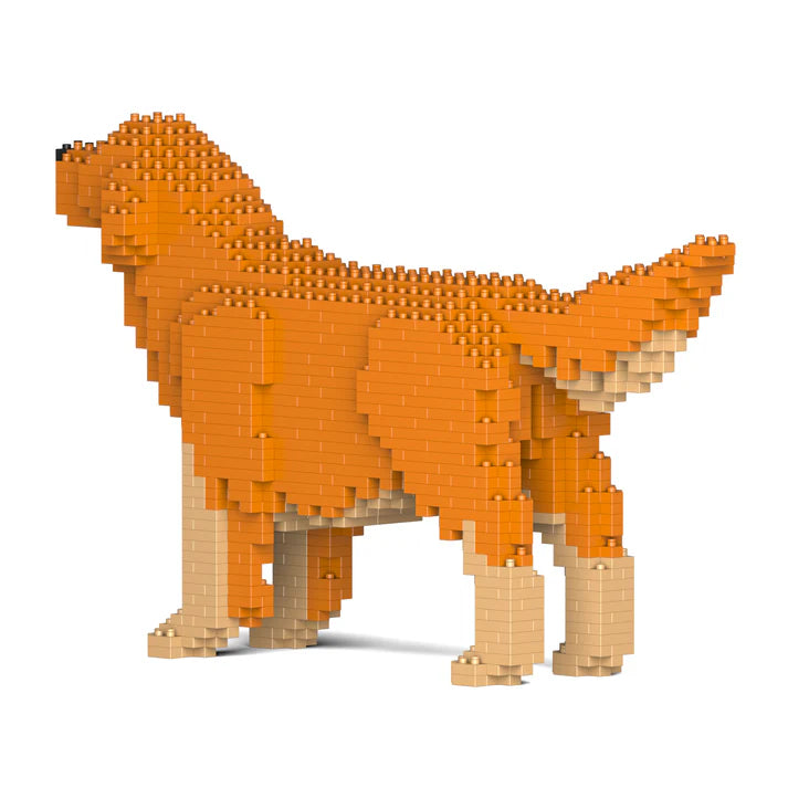 Golden Retriever 02-M02 