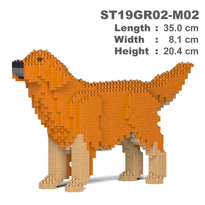 Golden Retriever 02-M02 