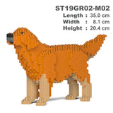 Golden Retriever 02-M02 