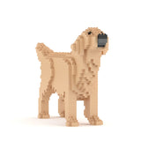 Golden Retriever 02-M03