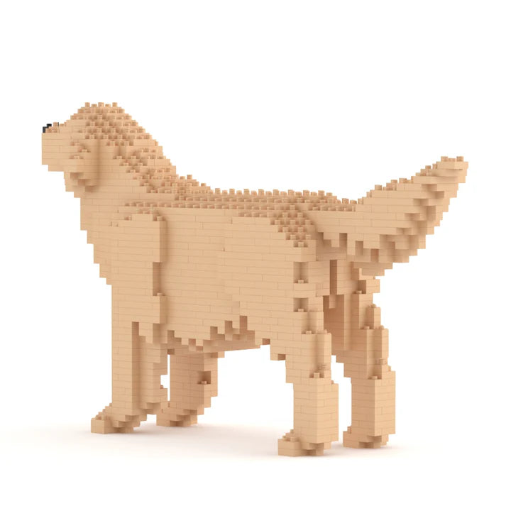 Golden Retriever 02-M03 