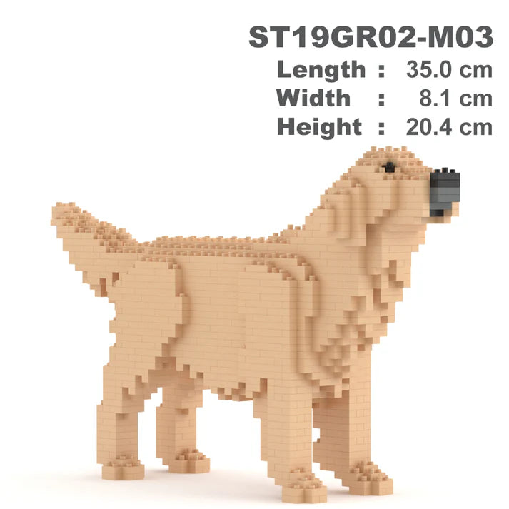 Golden Retriever 02-M03