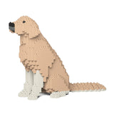 Golden Retriever 03-M01 