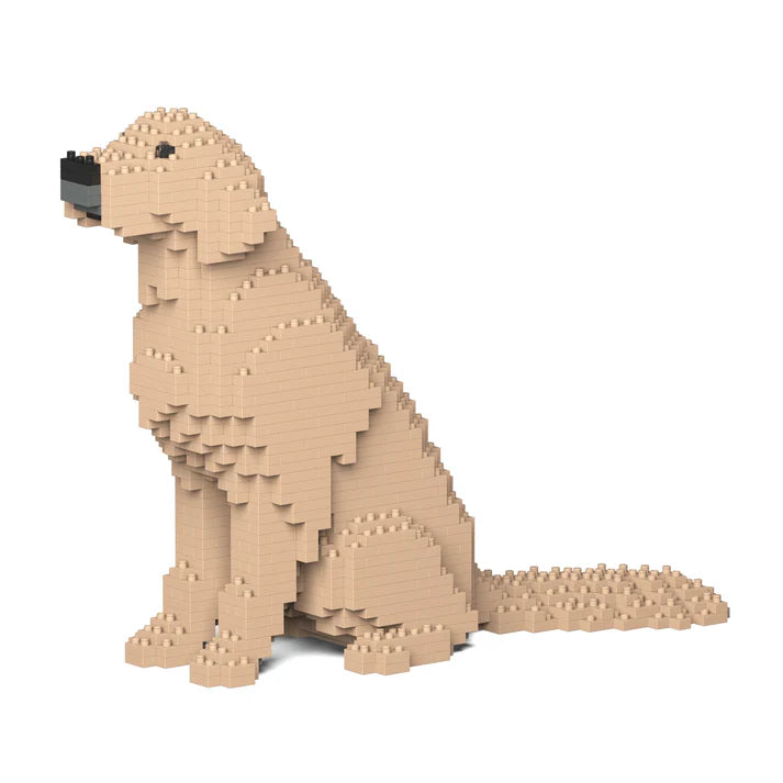 Golden Retriever 03-M03 