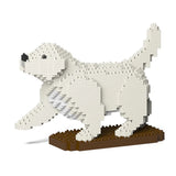 Golden Retriever 05-M01 