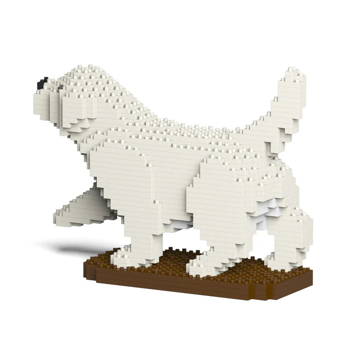 Golden Retriever 05-M01