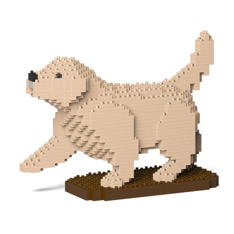 Golden Retriever 05-M02 