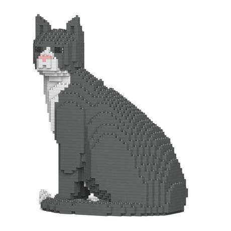 Gato de esmoquin gris 01S 