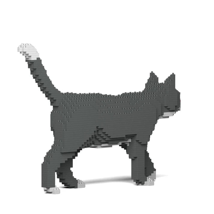 Graue Smokingkatze 02S 